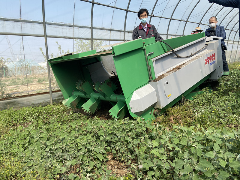 北京：设施蔬菜生产实现机械化