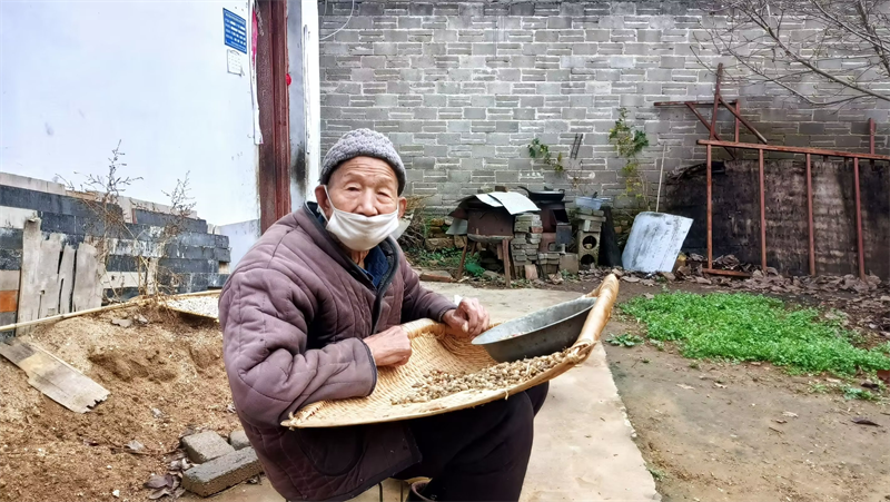 河南南召张有祥  百岁老人的幸福生活